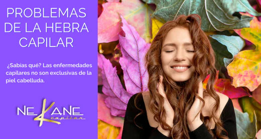 PROBLEMAS DE LA HEBRA CAPILAR