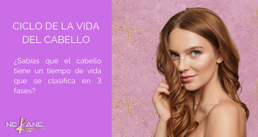 3 fases del ciclo del cabello